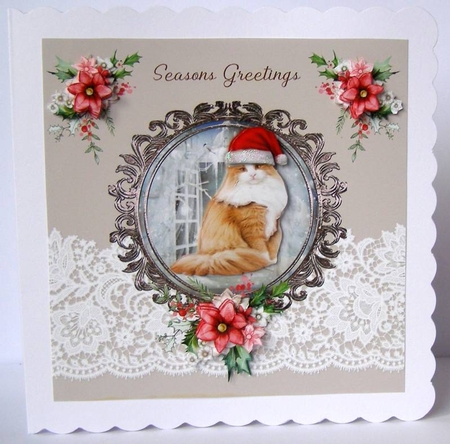 Ginger cat in a hat by Margaret McCartney