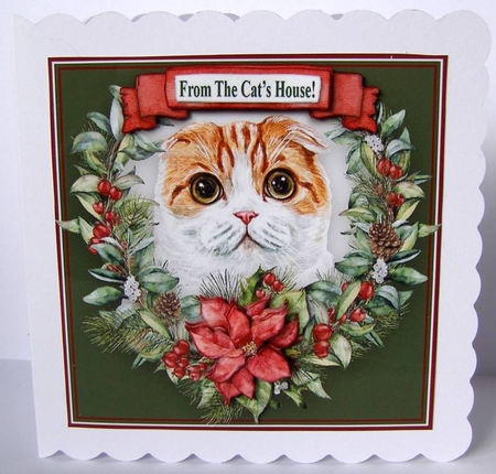 Christmas Poinsettias Watercolour Scottish Fold Cat - 6 x 6 Card Topper With Decoupage & Tags by Margaret McCartney