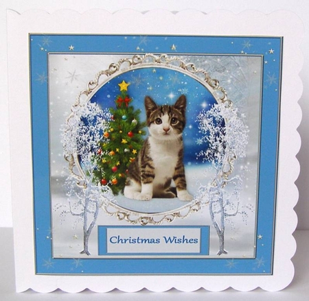 Kitten Christmas 1 by Margaret McCartney