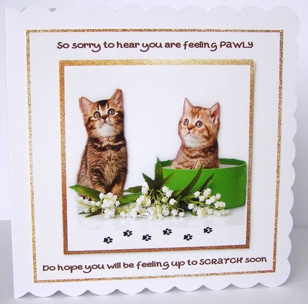 Feeling Pawly by Margaret McCartney