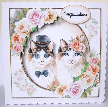 The Wedding Cats 1 by Margaret McCartney