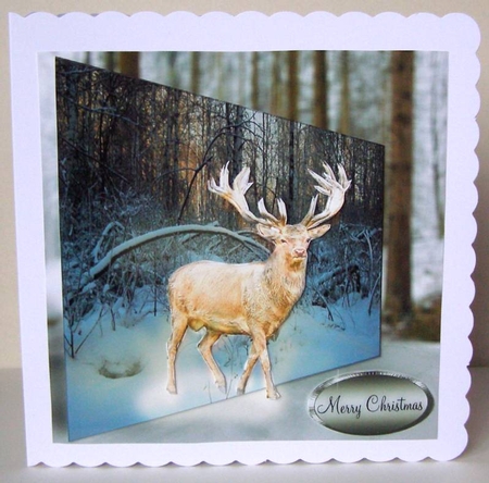 glowing stag by Margaret McCartney