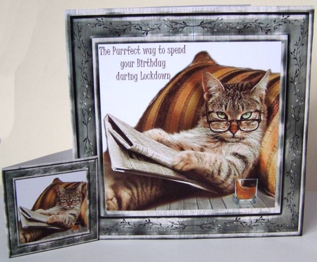 Purrfect Lockdown Birthday Quick Card Front by Margaret McCartney