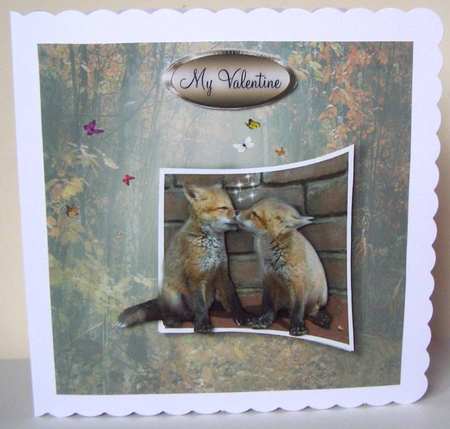 foxy by Margaret McCartney