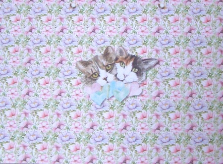 The Cats Whiskers Planner, Perpetual Calendar & Accessories by Margaret McCartney