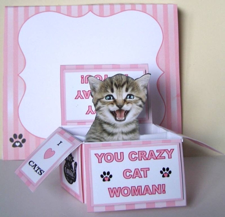 Laughing Kitten In A Pink Box - Box Card Kit With Greetings Tags, Instructions And Matching Envelope by Margaret McCartney