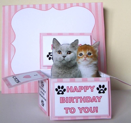 Two Little Kittens In A Pink Box - Box Card Kit With Greetings Tags, Instructions And Matching Envelope by Margaret McCartney