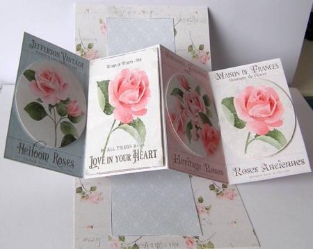ABIGAIL ROSES TWIST & POP ALL OCCASIONS CARD KIT by Margaret McCartney