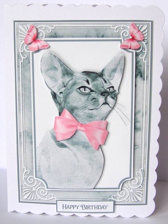 Animal Portrait 1 by Margaret McCartney