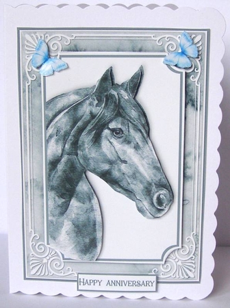 Animal Portrait 3 by Margaret McCartney