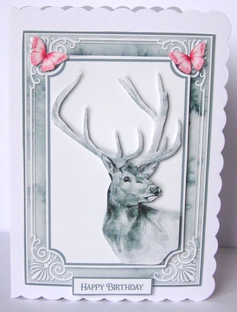 Animal Portrait 10 by Margaret McCartney