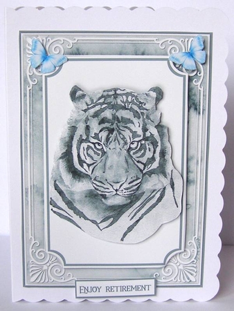 Animal Portrait 12 by Margaret McCartney