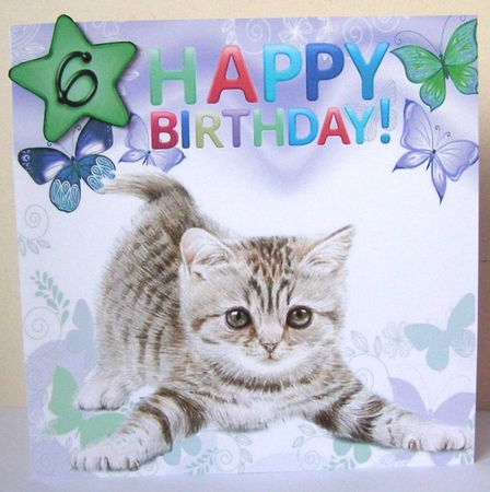 Cute little kitten with blue butterflies 8x8 by Margaret McCartney