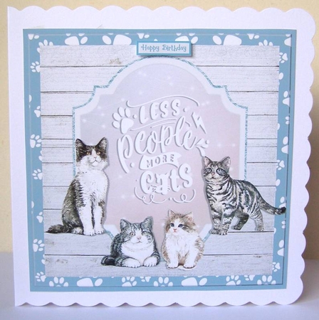 MORE CATS quick card. by Margaret McCartney