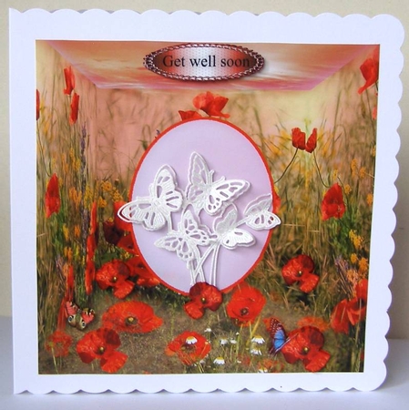 poppy frame by Margaret McCartney