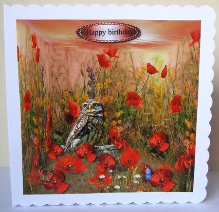 owl in the poppies by Margaret McCartney