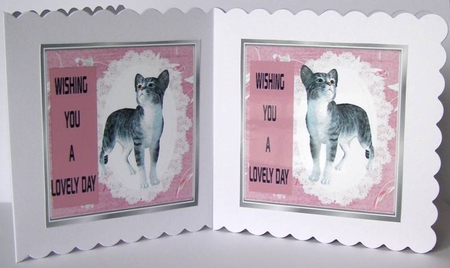 Lovely cat topper sheet by Margaret McCartney