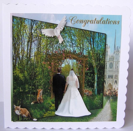 foxy wedding by Margaret McCartney