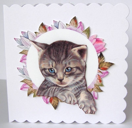 cute kitten in flower frame  by Margaret McCartney