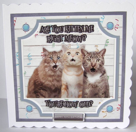 ARE YOU KITTEN ME? quick card by Margaret McCartney