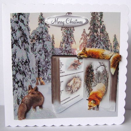 book of foxes by Margaret McCartney