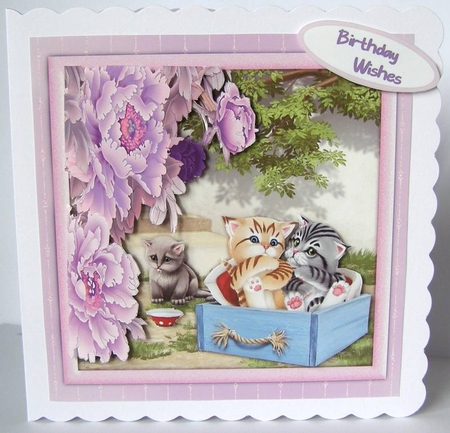 Kittys In The Garden by Margaret McCartney