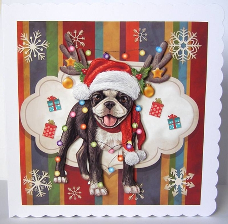 Dog Christmas  by Margaret McCartney