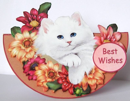 Wobble Card Mini Kit # 2 - For Her by Margaret McCartney