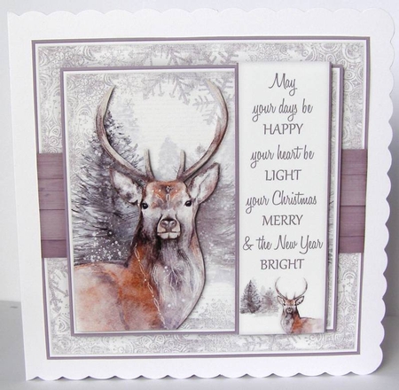 Stag 2 Mini Kit by Margaret McCartney