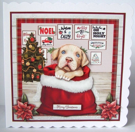 CHRISTMAS PITBULL by Margaret McCartney