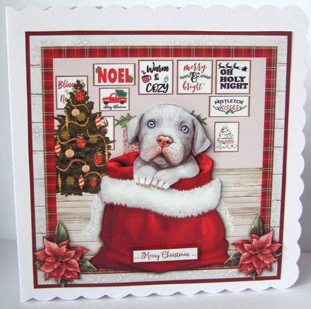 CHRISTMAS PITBULL 2 by Margaret McCartney