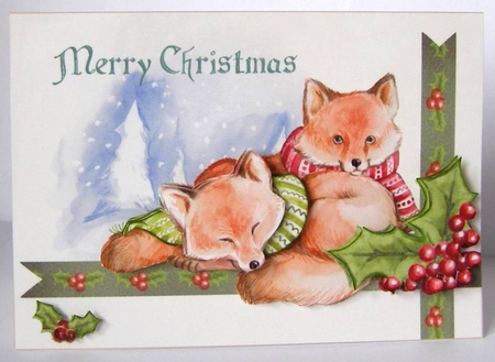 Cosy Foxes by Margaret McCartney