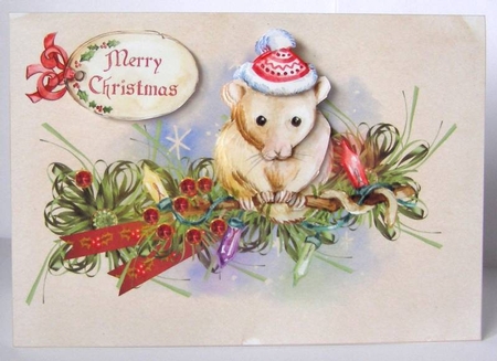 Cosy Mouse by Margaret McCartney