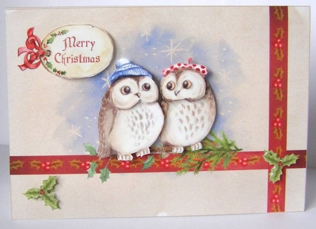 Cosy Owls by Margaret McCartney