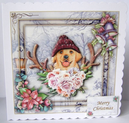 Watercolour Christmas 8x8 - Goldie by Margaret McCartney