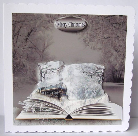 winter train by Margaret McCartney