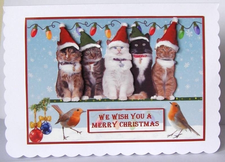 Meowie Christmas by Margaret McCartney