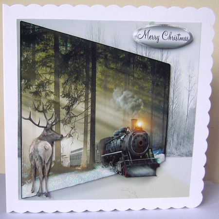 through the woods  by Margaret McCartney