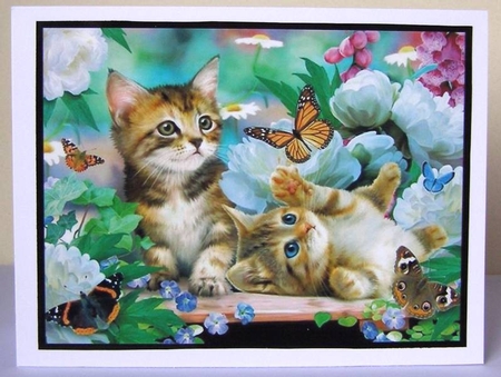 2022 calendar The Butterfly Watchers by Margaret McCartney