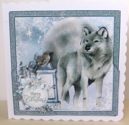 Wild Winter 8 by Margaret McCartney