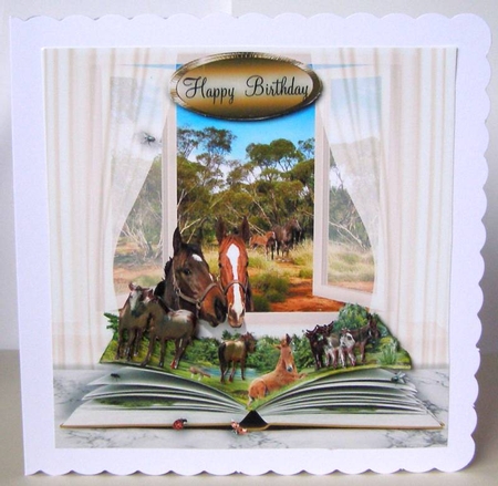 book on horses  by Margaret McCartney