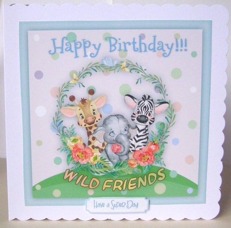 Happy  Birthday Wild Friends by Margaret McCartney