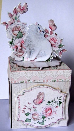 For the Love of My Cat Exploding Box Surprise by Margaret McCartney