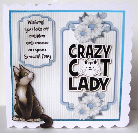 Crazy Cat Lady 3 - 6x6 inch card front with decoupage by Margaret McCartney