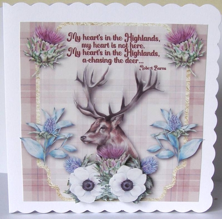 The Highlands - Blank Card by Margaret McCartney