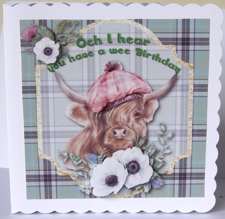 The Highlander by Margaret McCartney
