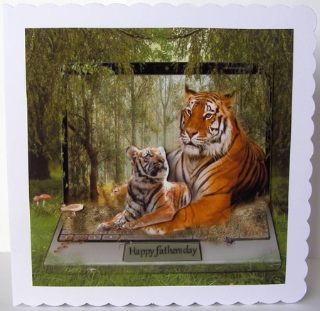 tigers love by Margaret McCartney