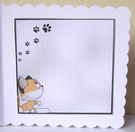 Matching insert for the design sheet - Crazy Cat Guy 1 by Margaret McCartney
