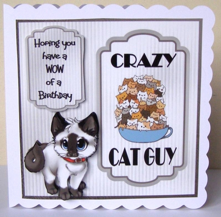 Crazy Cat Guy 2 - 6x6 inch card front with decoupage by Margaret McCartney