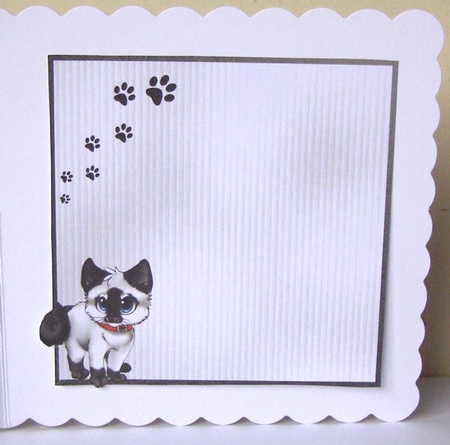 Crazy Cat Guy 2 - 6x6 inch card front with decoupage by Margaret McCartney